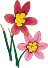img3.gif