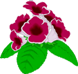 img8.gif